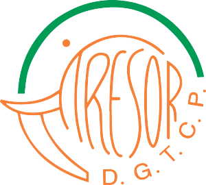 Logo CIEF